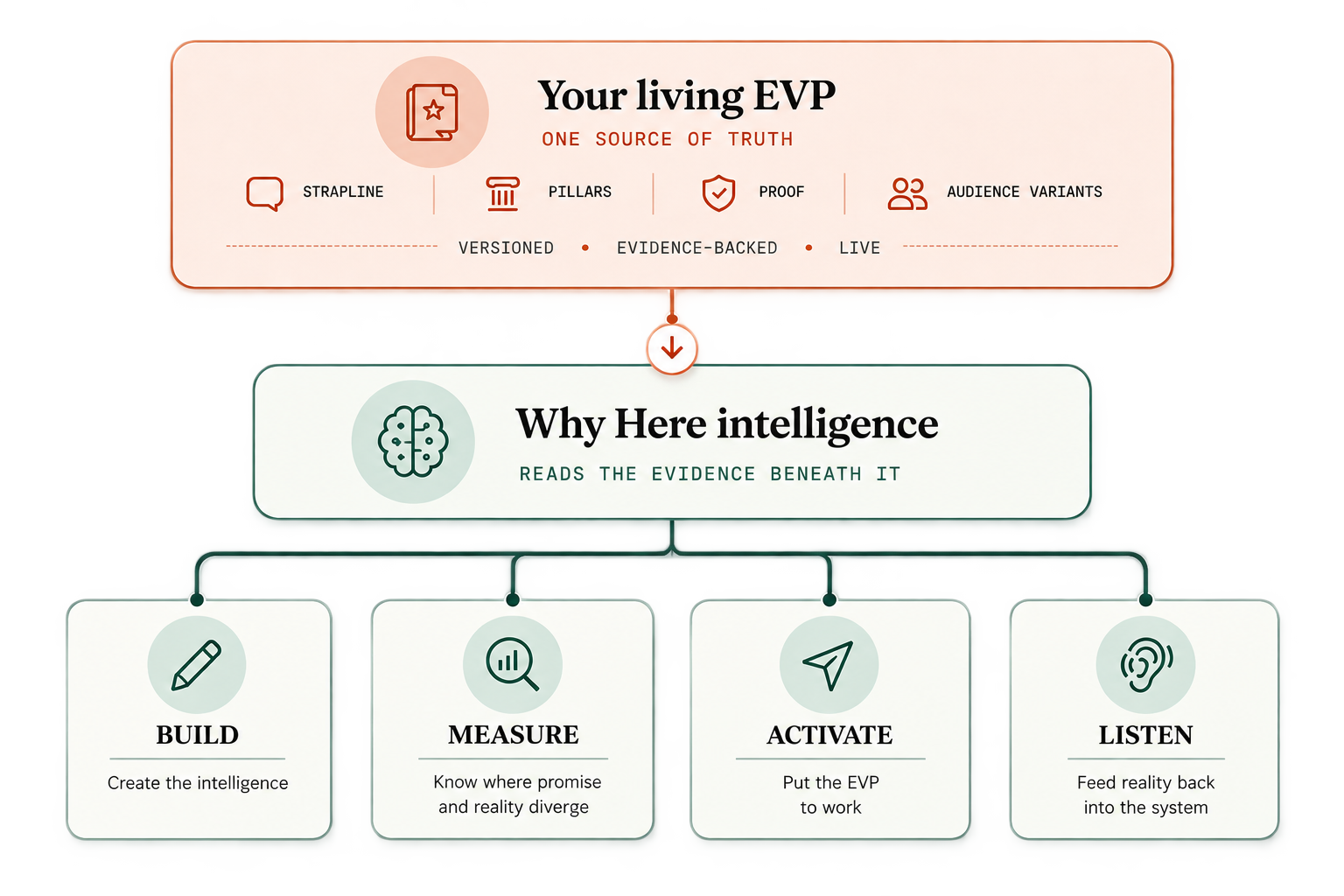 Your living EVP, holding the strapline, pillars, proof and audience variants and marked versioned, evidence-backed and live, feeds the Why Here intelligence layer, which branches into build, measure, activate and listen.
